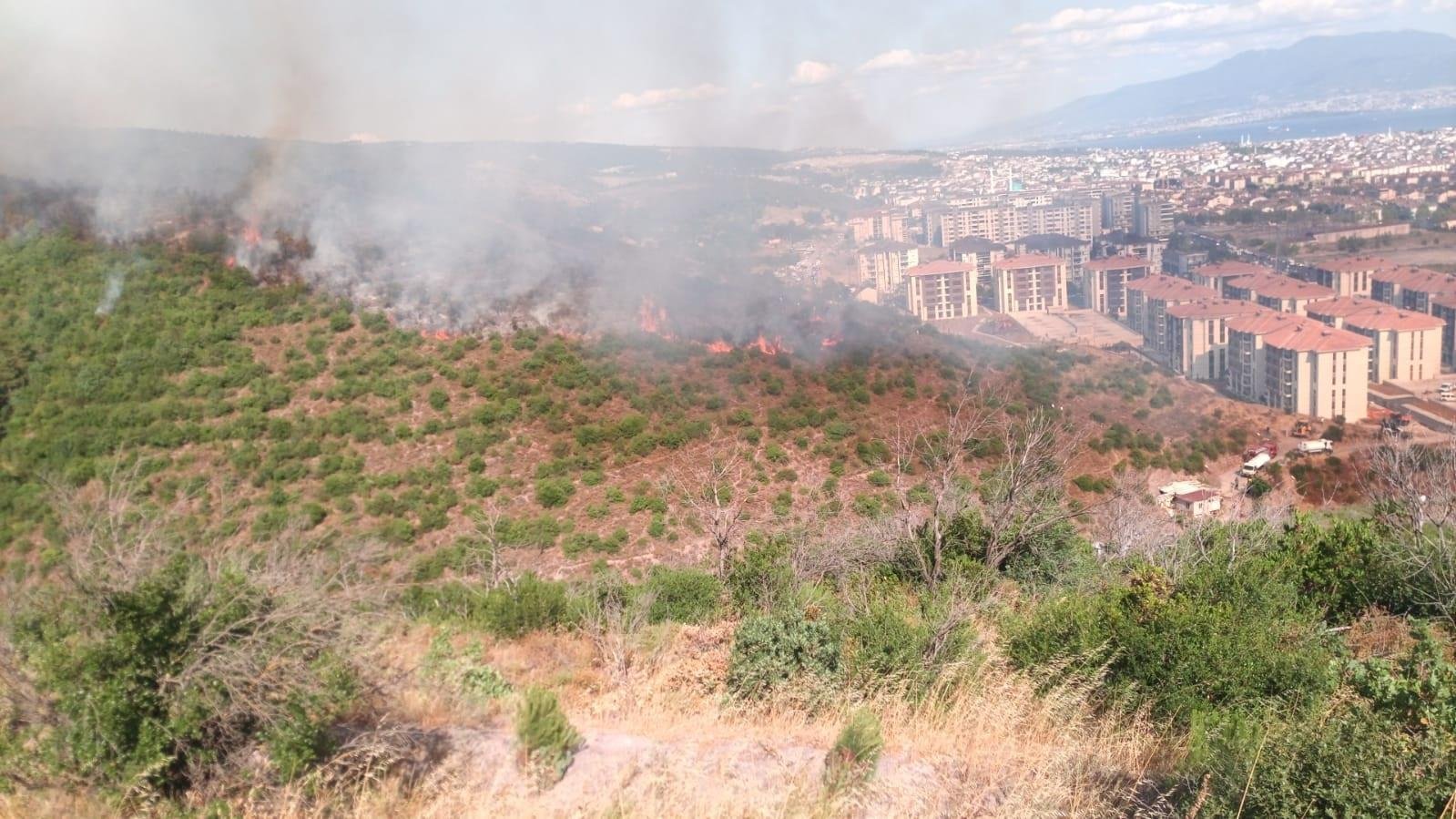 Kocaeli’de orman yangını: Son durum