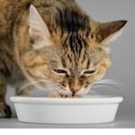 Başkan Ünsal’dan Devir Açıklaması: “Tercih Değil, Zorunluluk!”