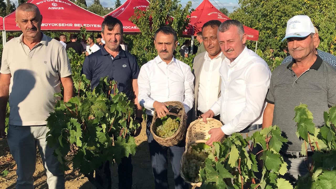 İzmit’te üzüm hasadı: Büyükakın katıldı