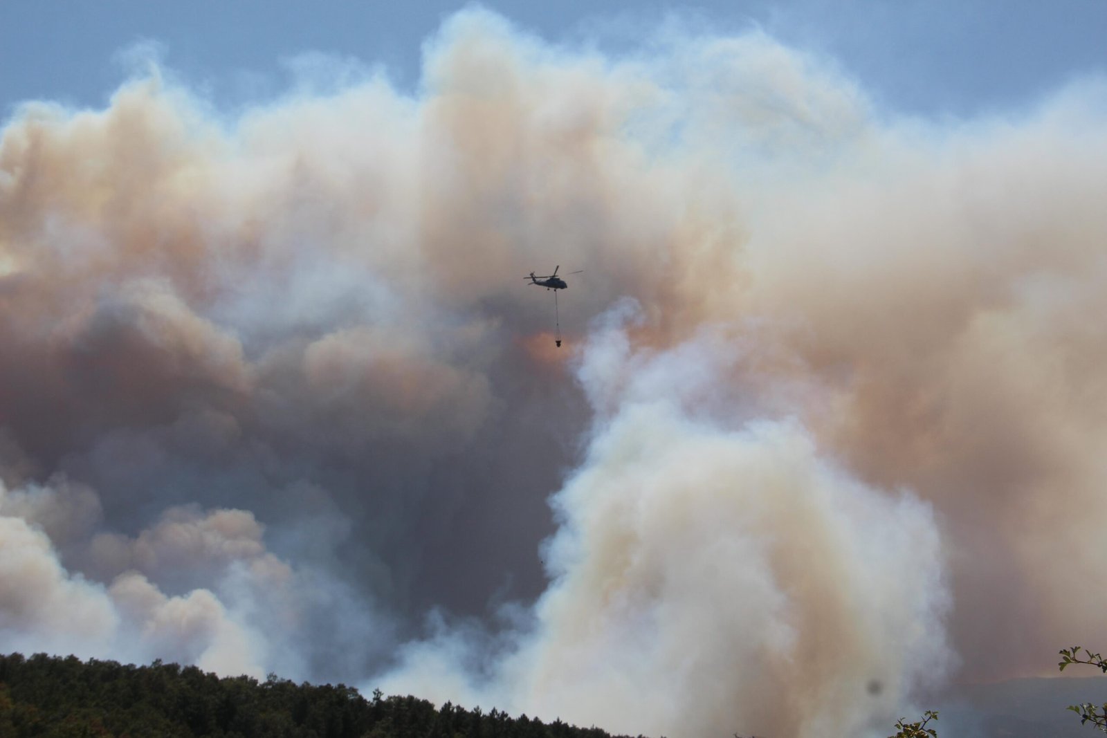 Kocaeli’de orman yangını: Ek fotoğraflar