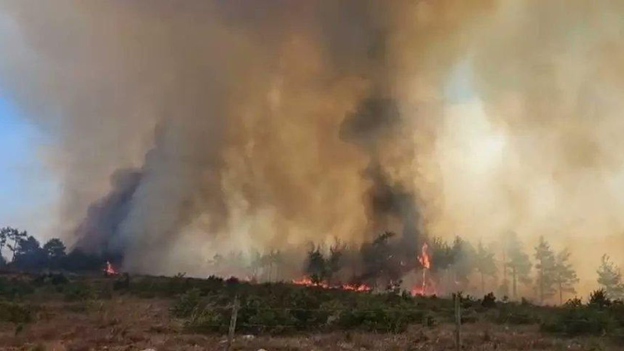 Kocaeli’de orman yangını: Ekipler alevlerle savaşıyor