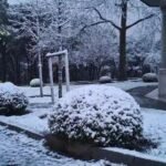 İBB Kararı Uygulandı: Bebek Otel’in Kaçak Eklentileri Yıkıldı