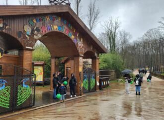 Ormanya bayramda yine zirvede