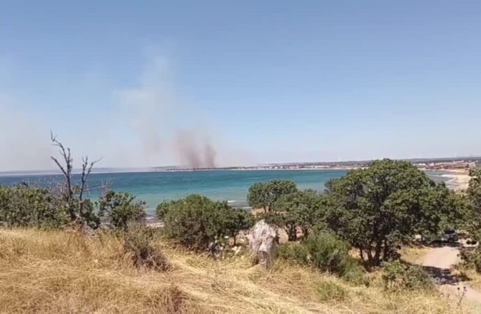 Çanakkale’de Tarım Arazisinde Yangın Kontrol Altına Alındı