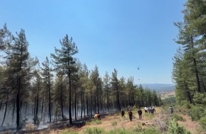 Bursa’da Orman Yangınına Müdahale Başlatıldı