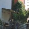 Karga, tavuk yumurtalarını çalarken görüntülendi