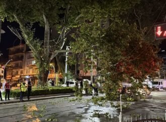 İzmit’te Tramvay Hattına Çınar Dalı Düştü