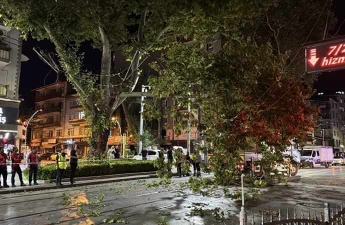 İzmit’te Tramvay Hattına Çınar Dalı Düştü