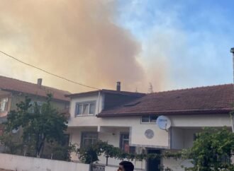 Körfez’de Kuru Ot Yangını Nedeniyle 50 Ev Boşaltıldı