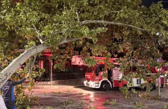 İzmit’te Tramvay Seferleri Dal Düşmesi Nedeniyle Aksadı