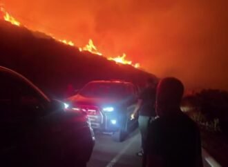 İzmir’de Makilik Alanda Yangın Çıktı