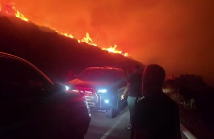 İzmir’de Makilik Alanda Yangın Çıktı
