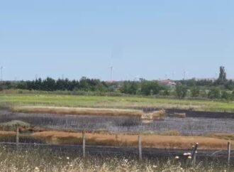 Silivri’de Köy Arazisinde Yangın Kontrol Altına Alındı