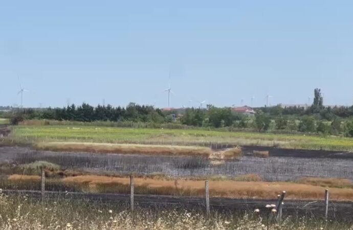 Silivri’de Köy Arazisinde Yangın Kontrol Altına Alındı