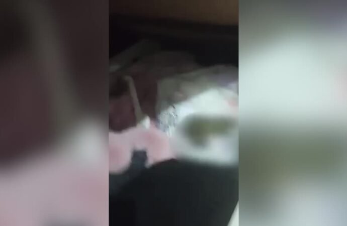 Polatlı’da Firari Hükümlü Baza İçinde Ele Geçirildi