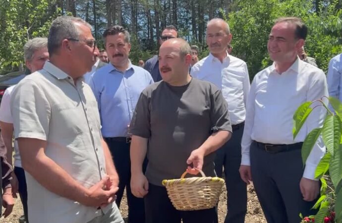Varank, Keles’te Kiraz Hasadına Katıldı
