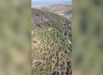 Balıkesir’deki Orman Yangını Kontrol Altına Alındı