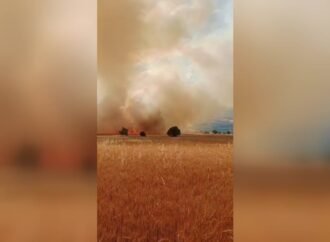 Kahramankazan’da Tarlada Yangın Kontrol Altına Alındı
