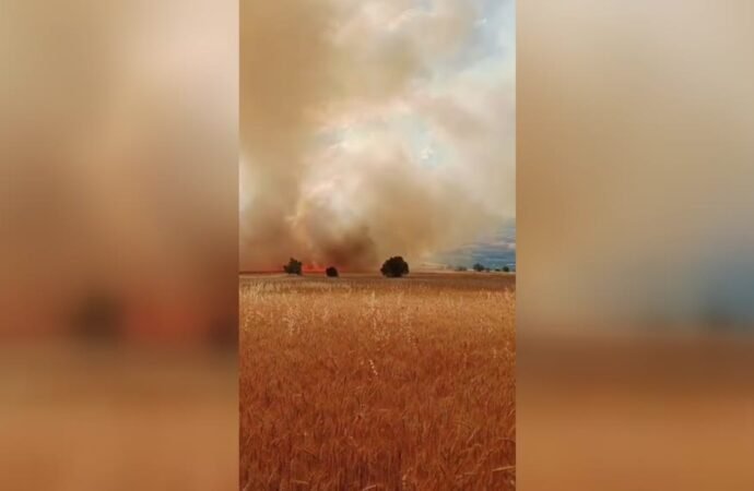 Kahramankazan’da Tarlada Yangın Kontrol Altına Alındı