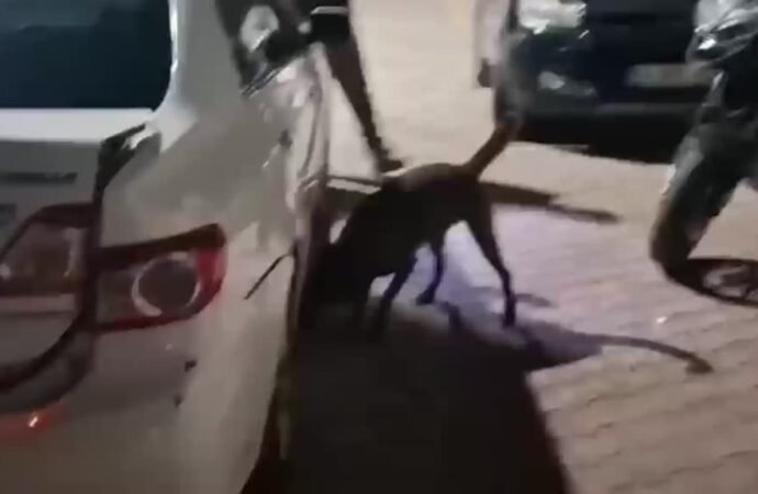 Sakarya’da Uyuşturucu Sevkiyatı Gözaltına Alındı