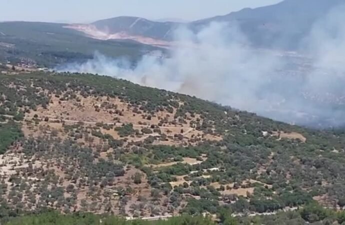 Bornova’da Orman Yangınına Müdahale Başladı