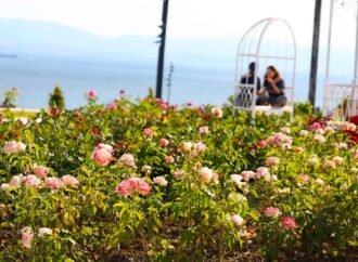 Darıca Millet Bahçesi ile Doğayla Buluşun