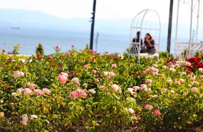 Darıca Millet Bahçesi ile Doğayla Buluşun