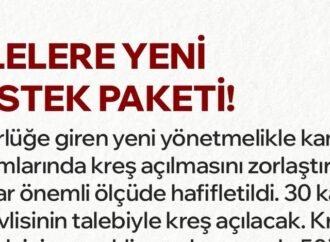 Kamu Kurumlarına Kreş Açma Koşulları Kolaylaştı