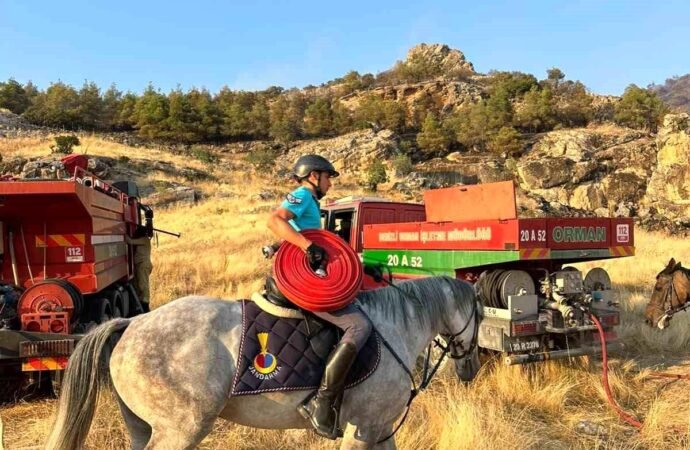 Pamukkale’deki Orman Yangınına Jandarma Atlı Timleri Müdahale Etti