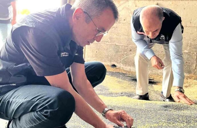 Bilecik’te Hasat Sezonu Yoğunlaşıyor