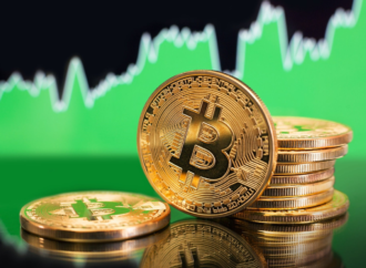 Bitcoin Yükselişinin Arkasında Yatan Nedenler
