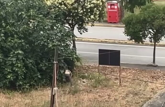 Kocaeli’de Akraba Tartışması Kanlı Bitti