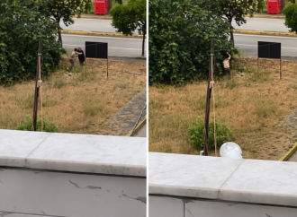 Kocaeli’de Amcasını Palayla Öldüren Yeğen Yakalandı