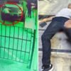 Kasklı Şüpheli Alacak-verecek Meselesinde Bacağından Vurdu