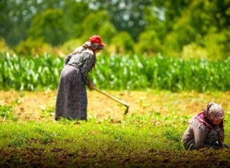 Kocaeli’de Tarım ve Hayvancılığa Büyük Destek