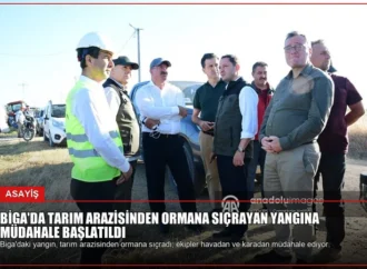 Biga’da Tarım Arazisinden Ormana Sıçrayan Yangına Müdahale Başlatıldı