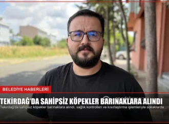 Tekirdağ’da Sahipsiz Köpekler Barınaklara Alındı