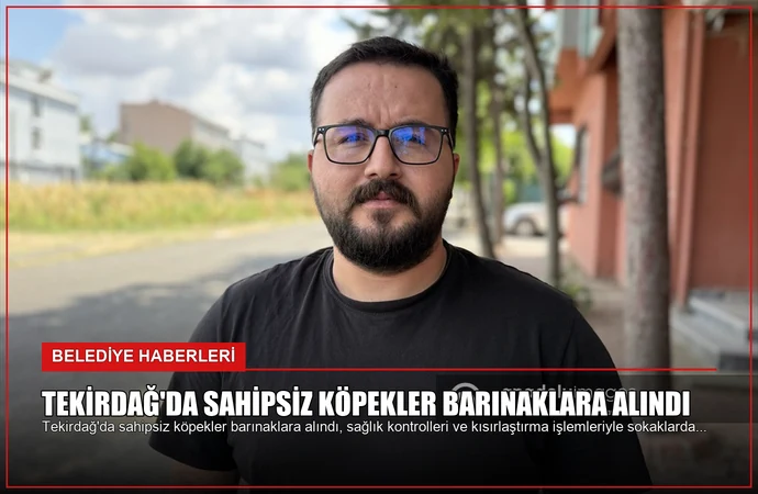 Tekirdağ’da Sahipsiz Köpekler Barınaklara Alındı