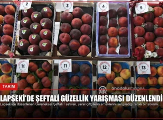 Lapseki’de Şeftali Güzellik Yarışması Düzenlendi