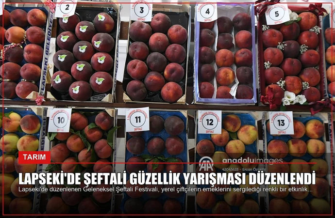 Lapseki’de Şeftali Güzellik Yarışması Düzenlendi