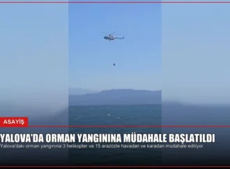 Yalova’da Orman Yangınına Müdahale Başlatıldı