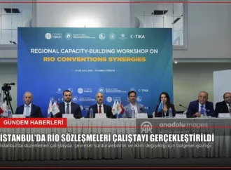 İstanbul’da Rio Sözleşmeleri Çalıştayı Gerçekleştirildi