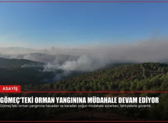 Gömeç’teki Orman Yangınına Müdahale Devam Ediyor