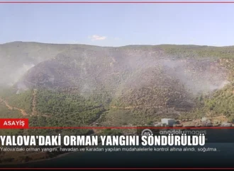 Yalova’daki Orman Yangını Söndürüldü