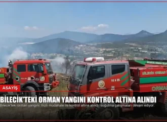 Bilecik’teki Orman Yangını Kontrol Altına Alındı