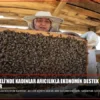 Kırklareli’nde Kadınlar Arıcılıkla Ekonomik Destek Sağlıyor
