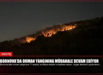 Bornova’da Orman Yangınına Müdahale Devam Ediyor
