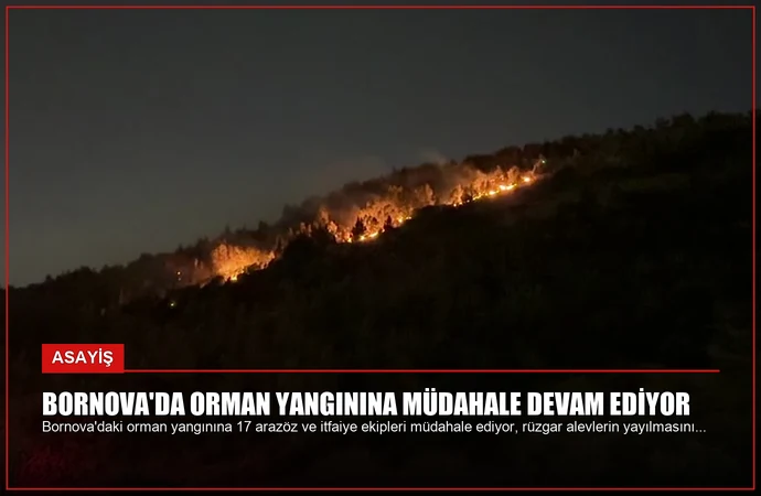 Bornova’da Orman Yangınına Müdahale Devam Ediyor