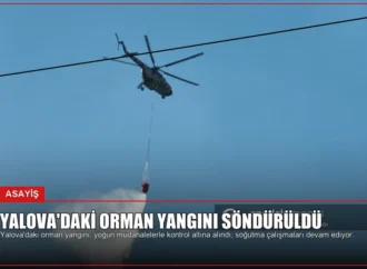 Yalova’daki Orman Yangını Söndürüldü