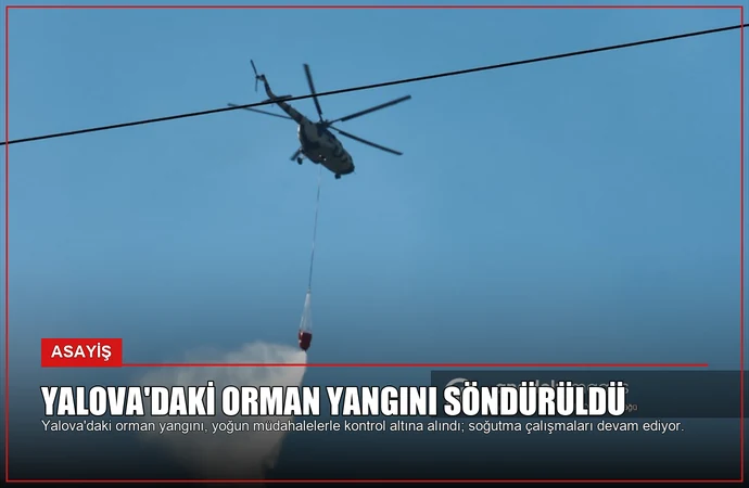 Yalova’daki Orman Yangını Söndürüldü